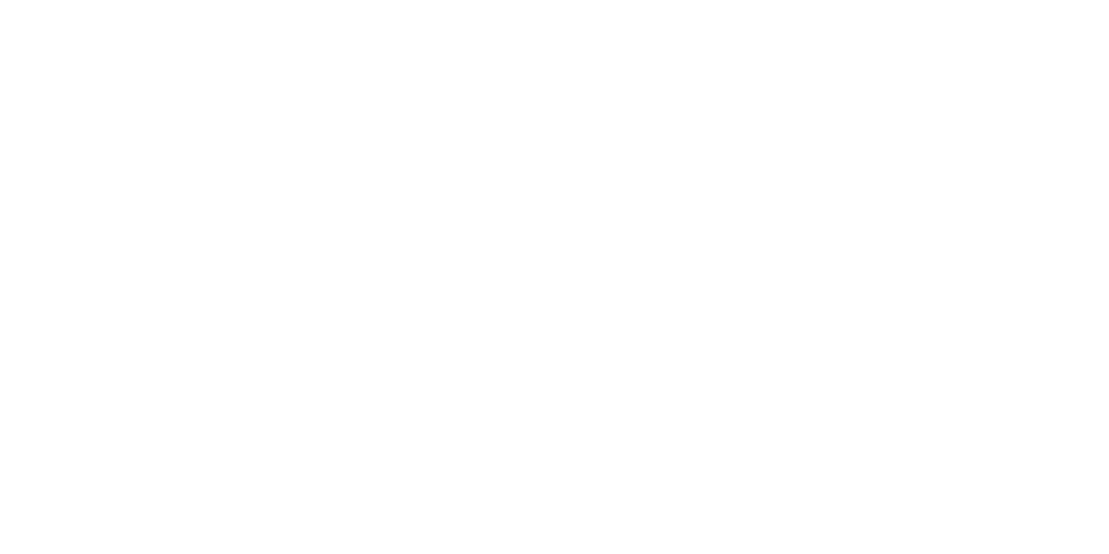 LMC Logo